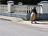 DSCN3224.JPG