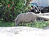 DSCN3226.JPG