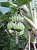 DSCN3482.JPG