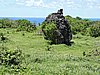 DSCN3492.JPG