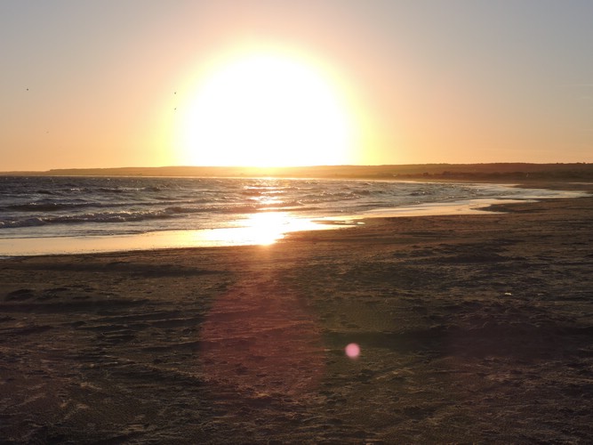 DSCN7166.JPG
