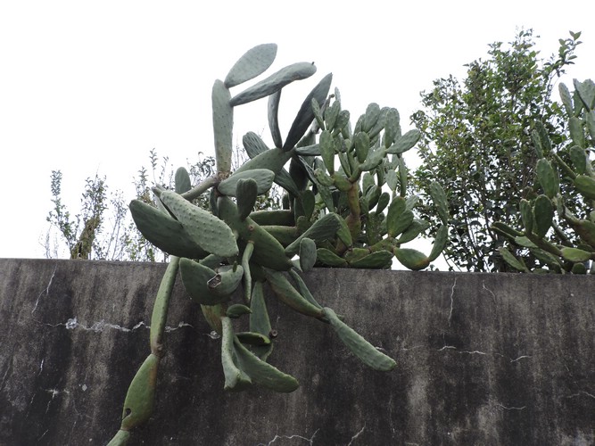 DSCN7371.JPG
