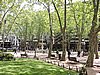 DSCN6981.JPG