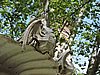 DSCN6985.JPG
