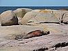DSCN7143.JPG