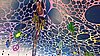 DSCN7361WP_20171015_17_29_11_Pro.jpg