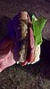 DSCN7361WP_20171015_20_52_29_Pro.jpg