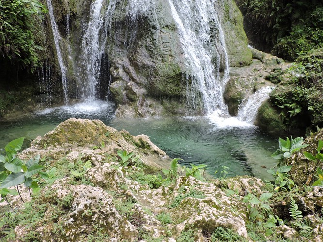 DSCN5486.JPG