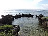 DSCN5286.JPG