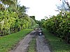DSCN5292.JPG