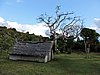 DSCN5295.JPG