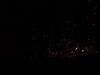 DSCN5423.JPG