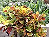 DSCN5446.JPG
