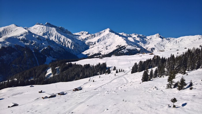 WP_20181214_12_01_40_Pro.jpg