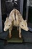 DSC09440.JPG