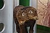 DSC09452.JPG