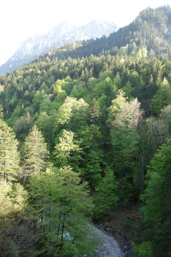DSC09790.JPG