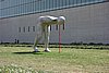 DSC09838.JPG