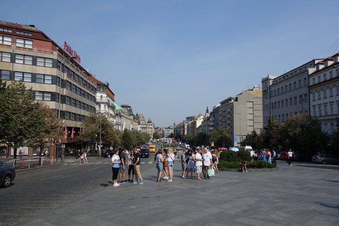 DSC00533.JPG
