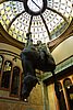 DSC00535.JPG
