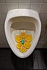 DSC00543.JPG