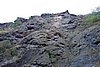 DSC00931.JPG