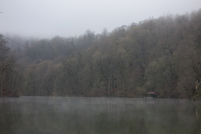 DSC01607.JPG