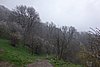 DSC01627.JPG
