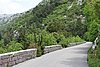 DSC01780.JPG