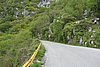 DSC01781.JPG