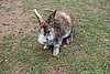DSC01856.JPG