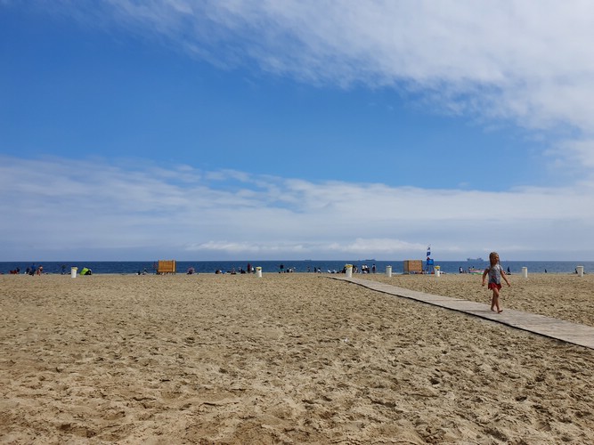 20190724_120843.jpg