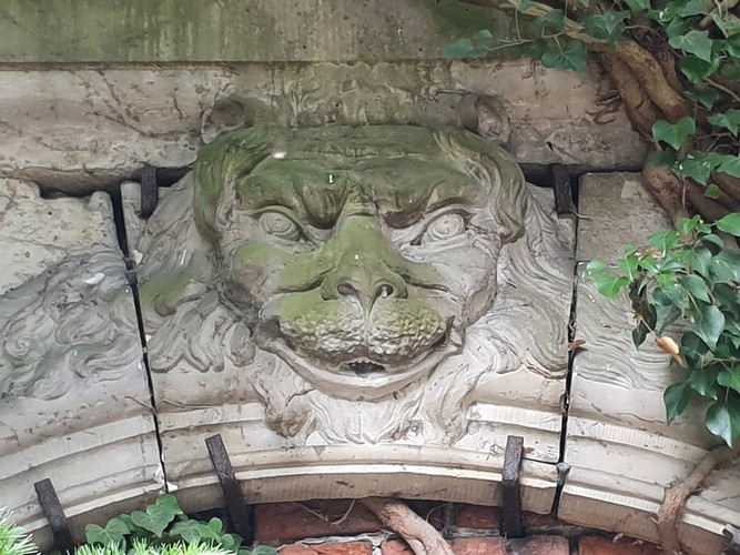 20190727_151005.jpg