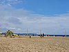 20190724_120851.jpg
