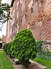 20190727_150517.jpg