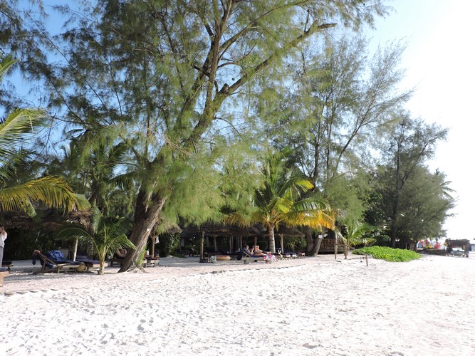 DSCN9185.JPG