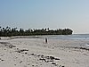 DSCN9150.JPG