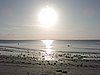 DSCN9154.JPG