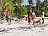 DSCN9155.JPG