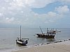 DSCN9167.JPG