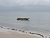 DSCN9168.JPG