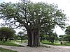 DSCN9357.JPG