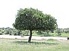 DSCN9408.JPG
