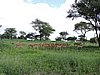 DSCN9419.JPG