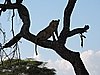 DSCN9454.JPG