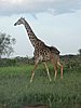 DSCN9462.JPG