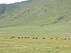 DSCN9870.JPG