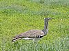 DSCN9940.JPG