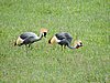 DSCN9947.JPG
