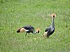 DSCN9951.JPG